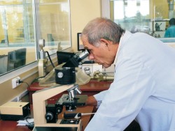 Контрольно-аналитическая лаборатория отдела контроля качества ЗАО «Алтайвитамины»
