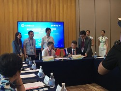 Международная китайская конференция по онкологии 2019 (CCO, Chinese conference on oncology 2019)