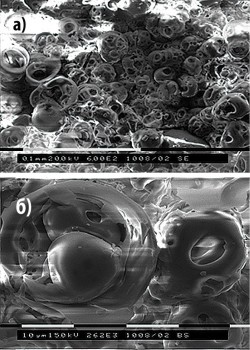 Рис. 1. Микрофотографии Сa-P, полученные методом электронной микроскопии при разном увеличении: а) – рельеф поверхности покрытия при увеличении 600; б) – рельеф поверхности покрытия при увеличении 2620
