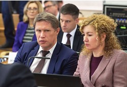 Заседание Совета по региональному здравоохранению при Совете Федерации. Фото: ouncil.gov.ru