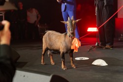 Церемония награждения Всероссийского открытого конкурса профессионалов фармацевтической отрасли «Платиновая унция»