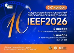 IEEF 2026