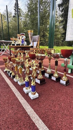 Кубок Александра Топоркова