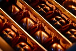 На ПМЭФ-2024 представили первые в России конфеты со сладким белком