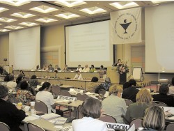 Заседание Совета национальных представителей Международного совета медицинских сестёр по вопросам отрасли