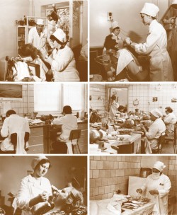 Стоматологической поликлиники № 22 Департамента здравоохранения Москвы